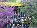 Cortejo_Academico_2013 (37).jpg